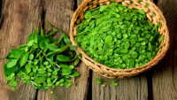 Here's a DALL-E prompt for an image related to the article title Buy Fresh Fenugreek (Methi) Online: Nutritious and Flavorful Herb:nnA close-up photo of fresh, vibrant green fenugreek leaves with wate